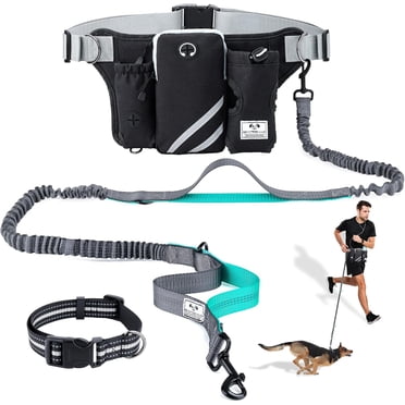 PetAmi Hands Free Dog Leash Waist Belt - For 2 Dogs, Adjustable Up To 52", Includes Fanny Pack, Bungee Leashes Up To 70", Reflective, Purple