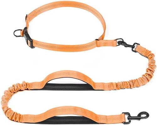Retractable Hands Free Dog Leash - Dual Handle Bungee Waist Leash for Small, Medium and Large Dogs (Medium/Large, 25-150 lbs, Orange)