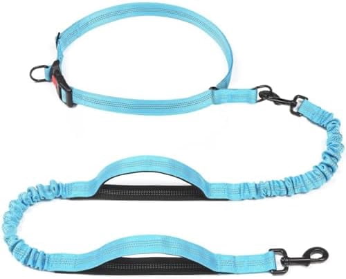 Retractable Hands Free Dog Leash - Dual Handle Bungee Waist Leash for Small, Medium and Large Dogs (Small, 8-25 lbs, Baby Blue)