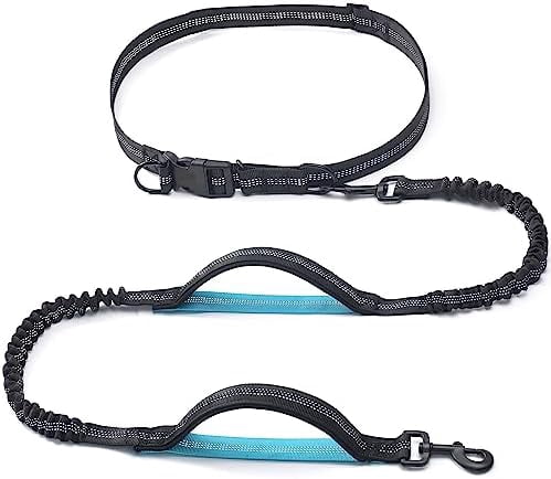 Retractable Hands Free Dog Leash - Dual Handle Bungee Waist Leash for Small, Medium and Large Dogs (Small, 8-25 lbs, Black)