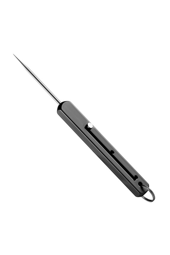 Retractable Integrated Toothpick, Portable Stainless Steel Fruit Pick Tool for Outdoor Camping Picnic, Metal Toothpick with Keychain Hole for Travel and Everyday Use, Black