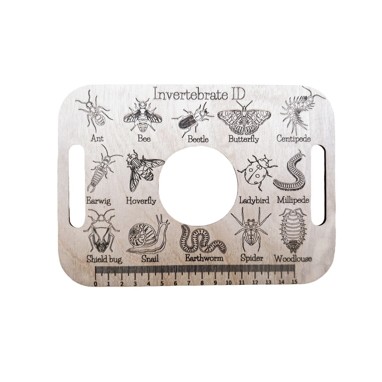 Retractable Tape Measure for Body Measuring Encyclopedia Identification