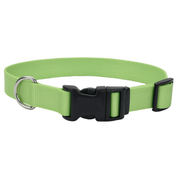 Retriever Adjustable Dog Collar with Plastic Buckle, 3/4 x 14-20in.Lime