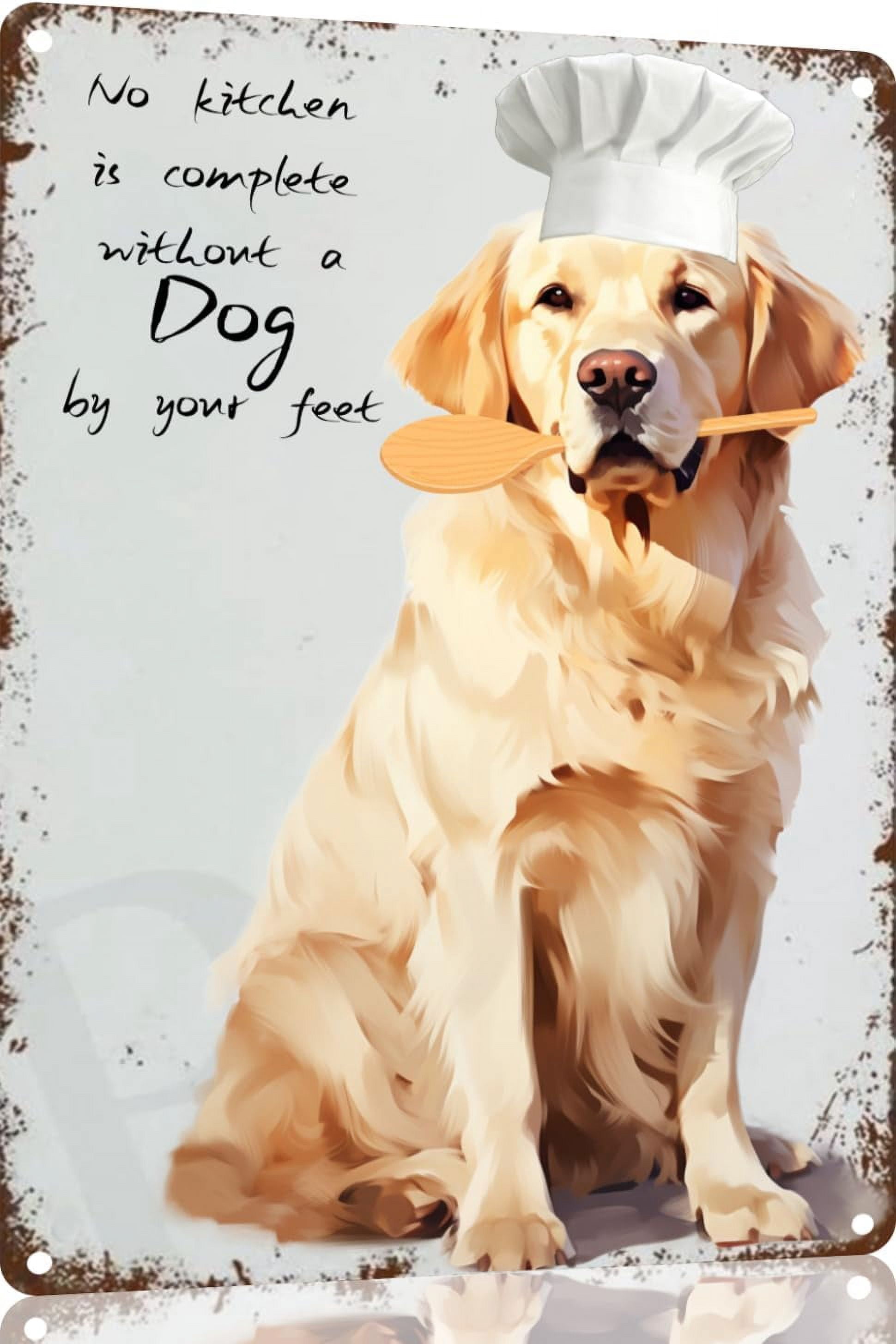 Funny Metal Sign – "The Toes You Step On" Humorous Novelty Man Cave Decor