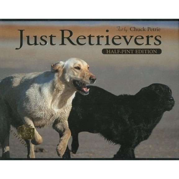 Retriever Training : A Back-To-Basics Approach (Hardcover)