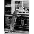 thumbnail image 1 of Retro Black and White Feminist Wall Art Newspaper Aesthetic Canvas Posters Vintage Funky Girl Sleeping Prints for Girly Dorm Bedroom Wall Decor 12x16 inch Unframed, 1 of 14