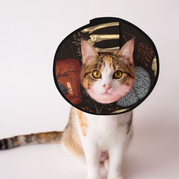 Retro Bones Organs Skull Soft Pet Recovery Collar for Cats Small Dogs, Protective Elizabeth Collar for Post-Surgery, Anti-Lick & Anti-Scratch