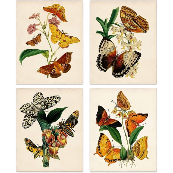 Retro Botanical Butterfly Wall Art Prints, Vintage Butterfly Canvas Wall Art, Butterfly Floral Nature Aesthetic Posters for College Dorm Room Preppy Room Bedroom Decor, Set of 4-(8"x10" Unframed)