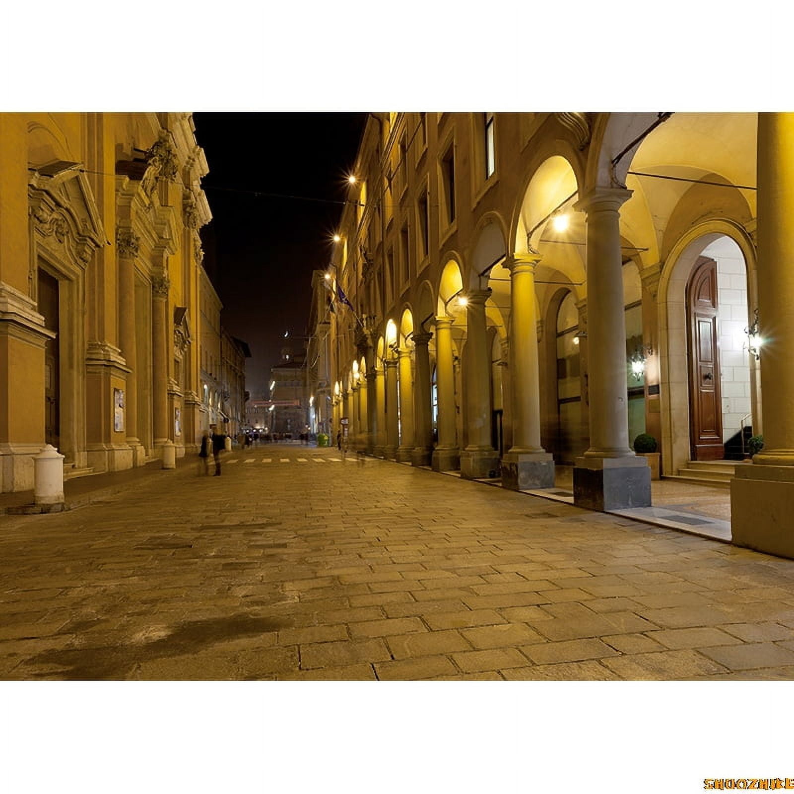 Retro Castle Theme Photography Backdrops Props Vintage Theater Opera ...