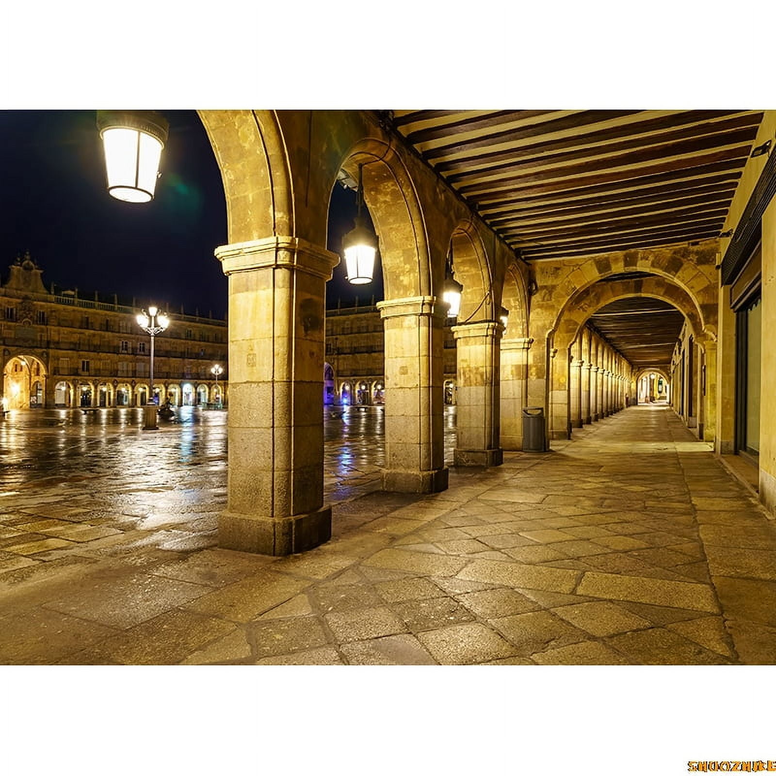 Retro Castle Theme Photography Backdrops Props Vintage Theater Opera ...