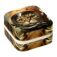 thumbnail image 1 of Retro Cat Travel Portable Jewelry Box - Square Organizer Box with Bracelet Holder, Earring Organizer – Store Rings, Earrings, Necklaces, Bracelets, and More! Suitable for Girls and Women, 1 of 6
