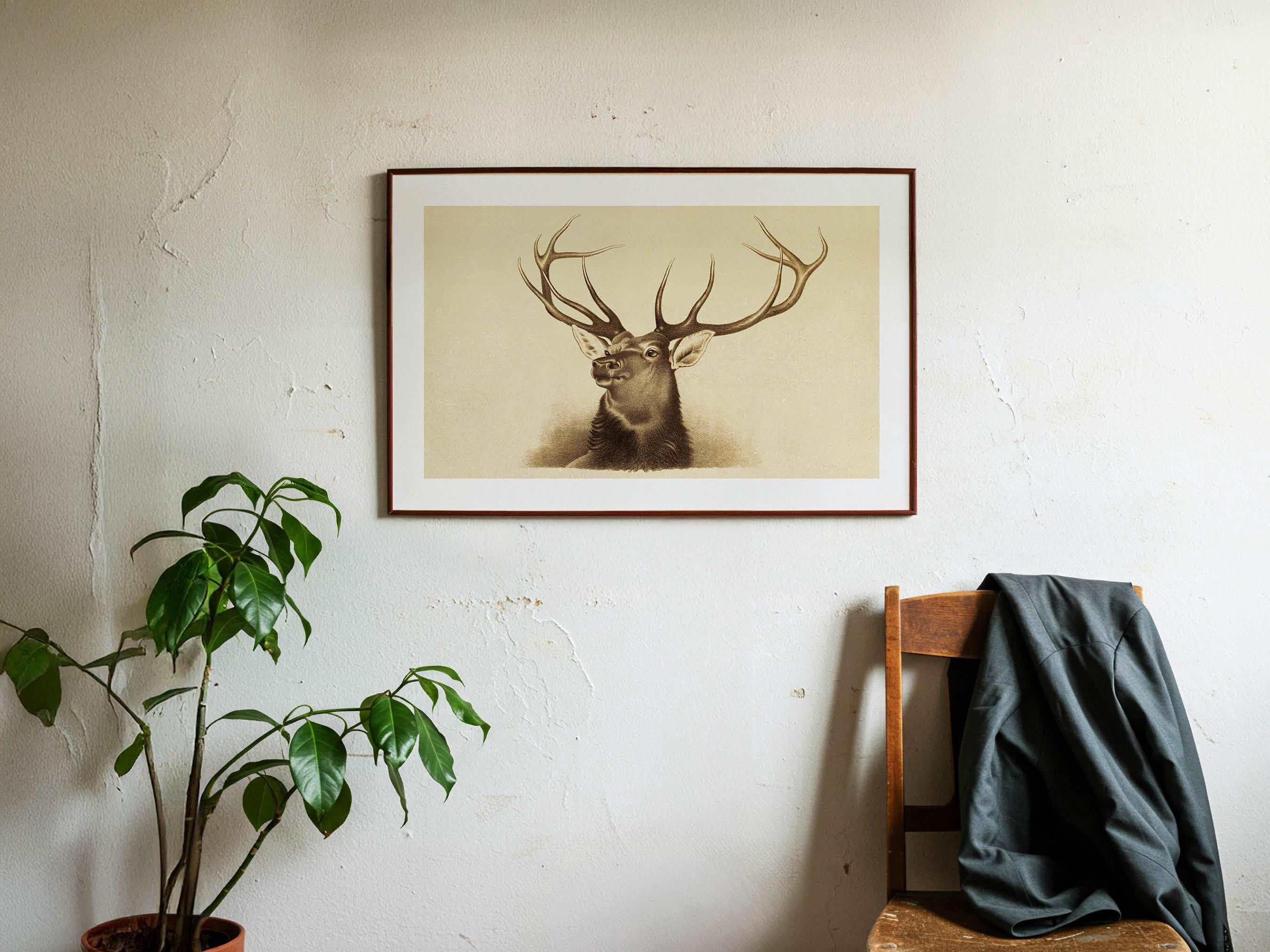 Retro Deer Head Outdoors Art Deer Antlers Wildlife Office Nature Poster ...
