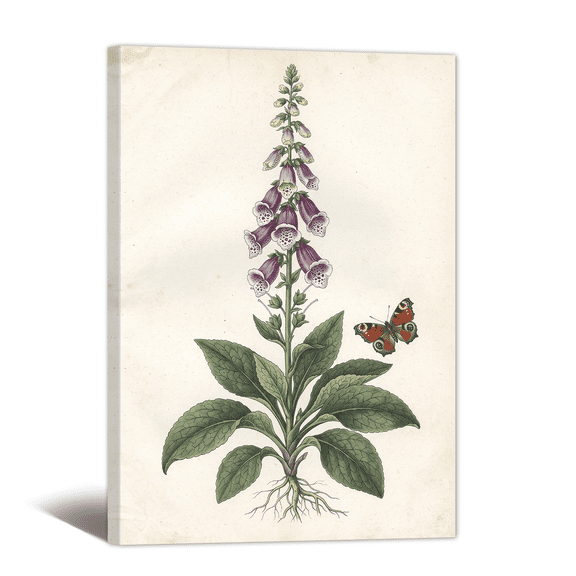 Retro Digitalis Flowers Canvas Wall Art Botanical Floral Picture Print, Vintage Rustic Artwork Natural Painting for Bathroom, Home, Living room Decor