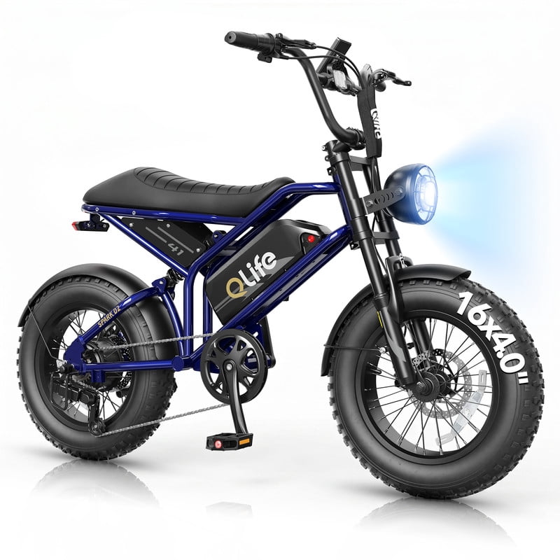 Qlife Spark D1 16x4.0" Electric Bike for Adults,500W up to 20MPH Fat Tires EBike,48V 13Ah Removable Battery Dirt E Bicycle,Full Suspension,Black