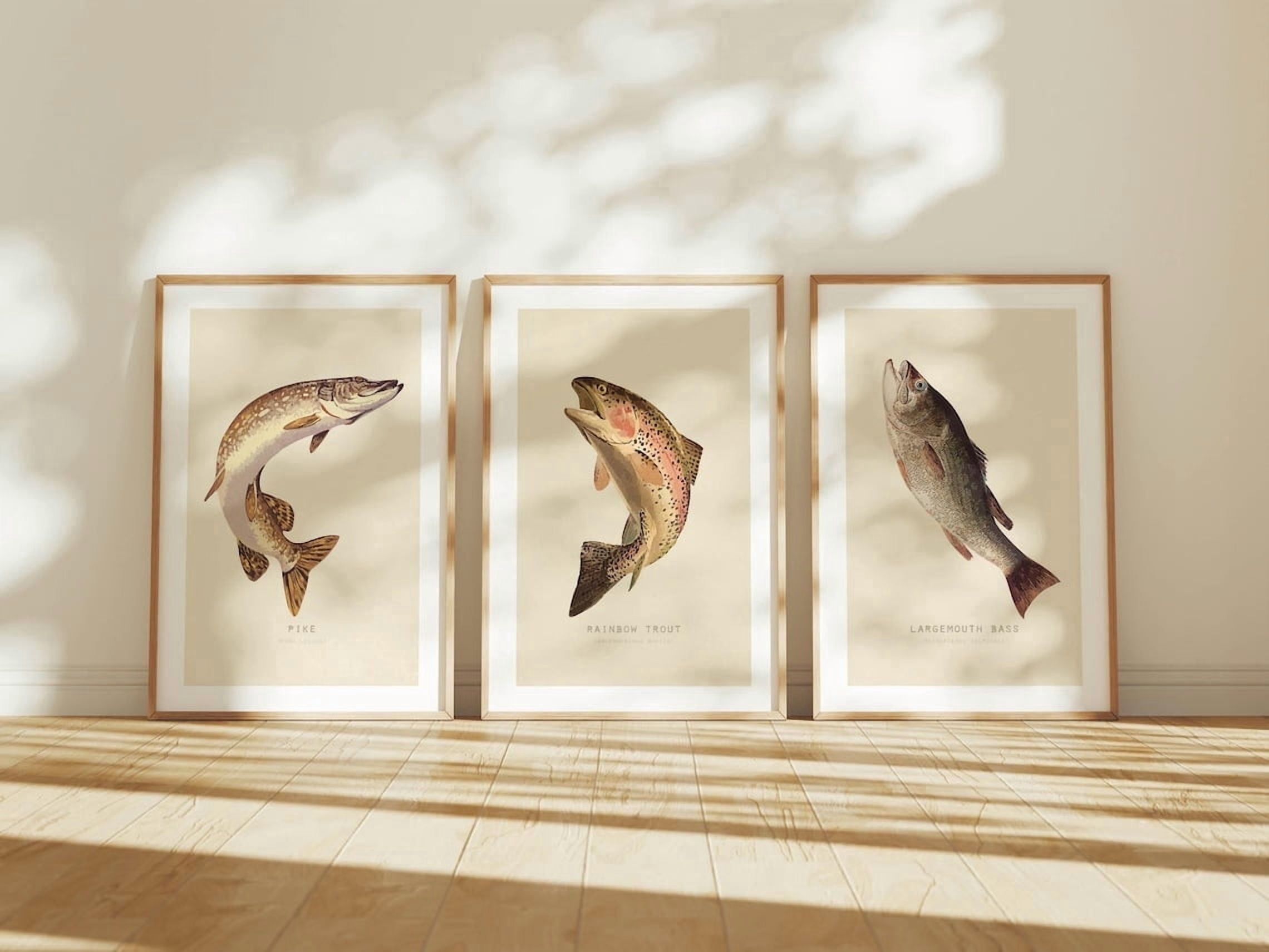Retro Fish Art Prints Trout Pike And Bass Outdoorsy Cabin Wall Decor ...