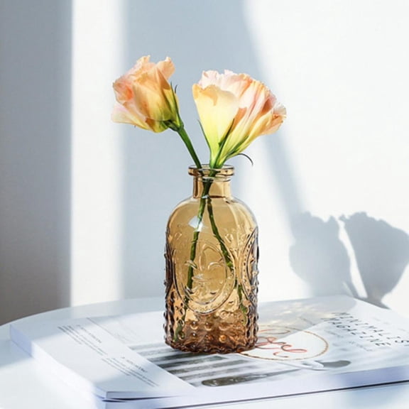 Retro Flower Vases Small Glass Vases Reed Diffusers with Cork Lids, Essential Oil Apothecary Glass Bud Vases