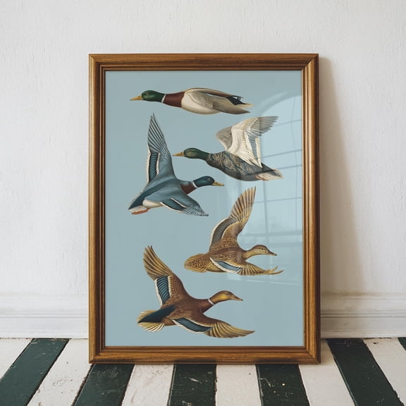 Retro Flying Ducks Poster Retro Outdoors Poster, Cabin Wall Decor, Lakehouse Decor, For Dad,, Unframed Poster Size 8x12