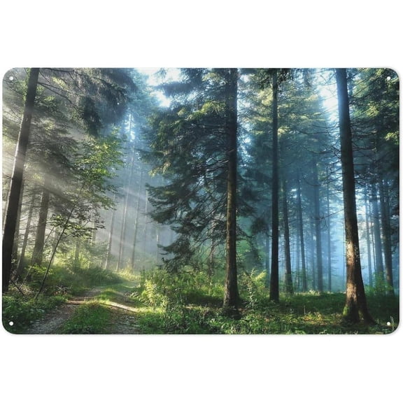 Retro Forest Landscape Metal Tin Wall Art Posters, Nature-Themed Tree Design, 20x30cm, Set of 4
