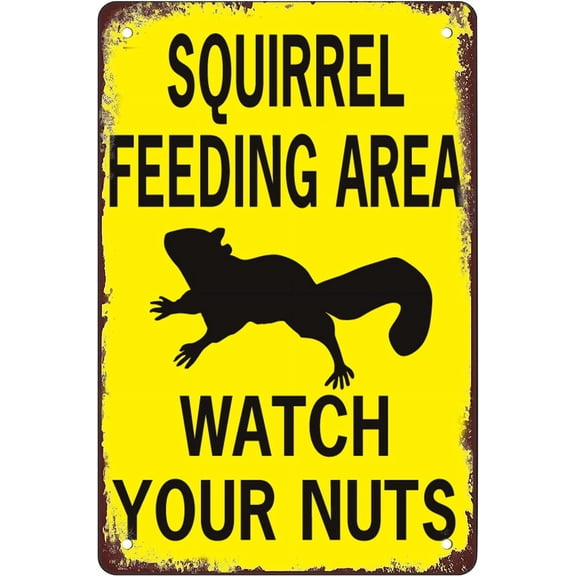 Retro Funny Metal Sign Sheet Signs Tin Sign,Squirrel Feeding Area Watch Your Nuts,Outdoor Home Wall Decoration,Size8x12inch
