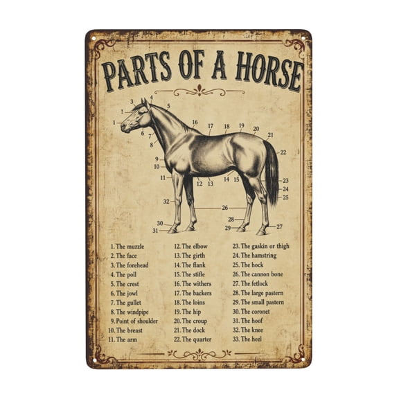 Retro Horse Anatomy Diagram Metal Tin Sign For Kitchen Farmhouse And Western Wall Decor 8x12 Inch