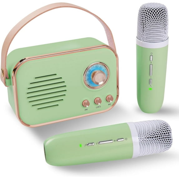 Retro Karaoke Machine,Mini Karaoke Machine with Wireless Microphones,Portable Small Karaoke Set Toys for Kids and Adults,Cool Tech Gifts for Birthday Home Party Ideas (Pink 1Mic)