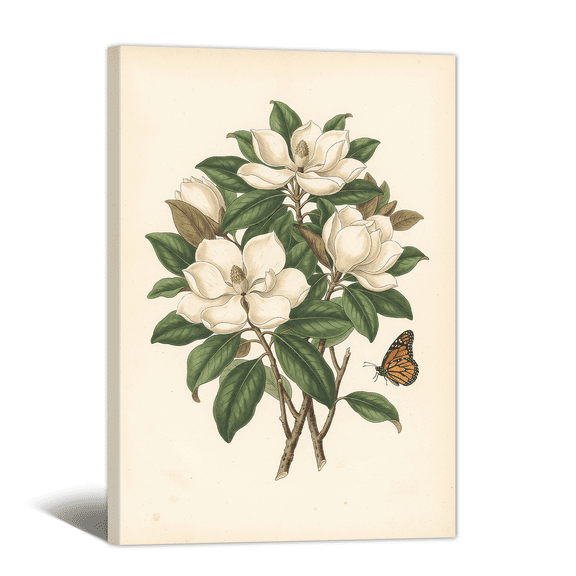 Retro Magnolia Grandiflora Canvas Wall Art Botanical Floral Picture Print, Vintage Rustic Artwork Natural Painting for Bathroom, Home, Living room Decor