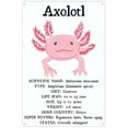thumbnail image 1 of Retro Metal Tin Sign 8 X 12 Inches Axolotl Facts Print Educational Classroom Poster Nature Wall Decor Salamander Aquatic Species Chart Science Stem Digital Print Rustic Home Decor Funny Room Decor, 1 of 5