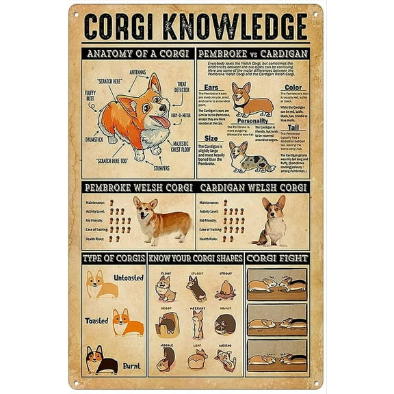 Retro Metal Tin Sign 8 X 12 Inches Corgi Knowledge Poster, Funny Corgi Dog Poster, Funny Dog Poster, Vintage Corgi Lover Gift, Retro Poster Home Decoration Art Poster Metal Sign Tin Painting