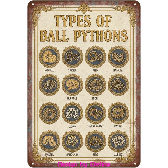 Retro Metal Tin Sign Types Of Ball Pythons Poster & Indoor Wall Poster Home Bar Shop Decors Coffee Gift 8" X 12" Home Club bar Wall Art Decor Tin Sign