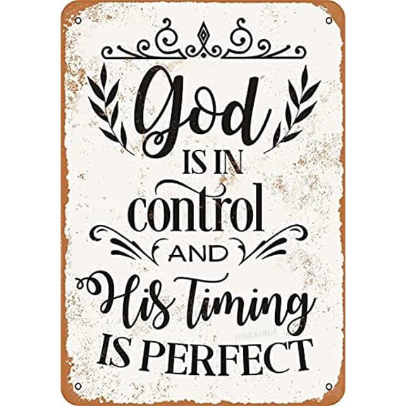Retro Metal tin Sign Funny God is in Control and His Timing is Perfect Bar Restaurant Cafeation Sign For Home Cave Garage bar Wall Decoration Vintage Metal Sign Size: 8 x 12 inch