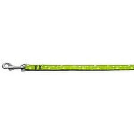 Retro Nylon Ribbon Collar Lime Green 3/8 wide 6Ft Lsh