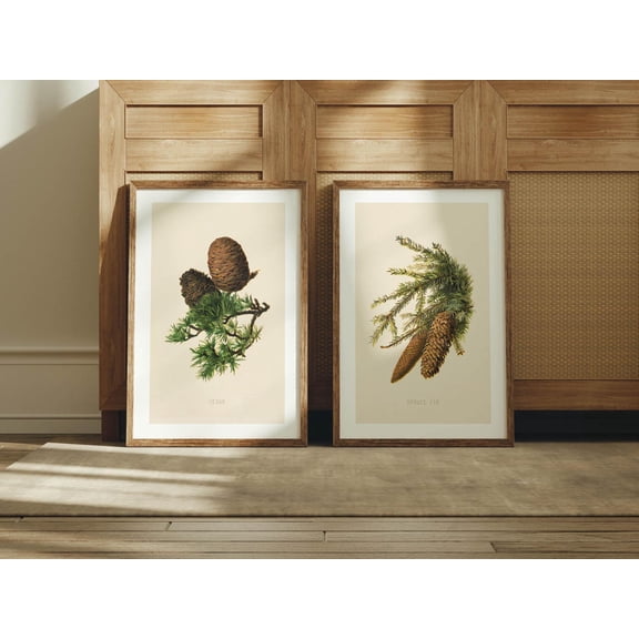 Retro Pine Cone Art Outdoors Art Pine Cone Illustration Home Office Nature Wall Art, Set 2, Stretched Canvas