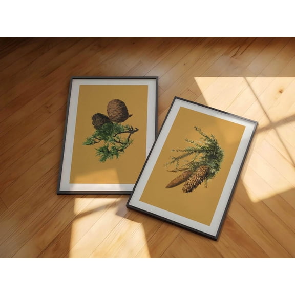 Retro Pine Cone Print Colorful Outdoorsy Wall Art, Set 2, Poster Only