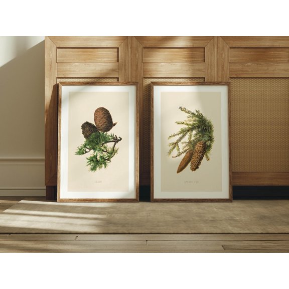 Retro Pine Cone Prints Outdoors Art Pine Cone Posters Outdoorsy Wall Prints Home Office Decor Nature Wall Art Hunting Gift for Dad Set 2
