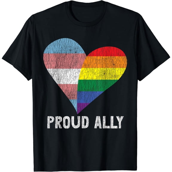 Retro Proud Ally Lesbian Gay Bisexual Trans Pan Queer LGBTQ T-Shirt