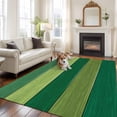 thumbnail image 1 of Retro Striped Area Rugs 5x7 ft Green Wood Grain Country Gradient Stripes Washable Rug Non Slip Indoor Carpet Absorbent Floor Mat for Living Room Bedroom Dining Room, 1 of 9