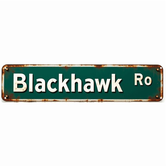 Retro Tin Sign 16*4 Inch Blackhawk Ro Sign - For Man Cave, Kitchen, Patio | man cave decor, retro kitchen decor, patio signs