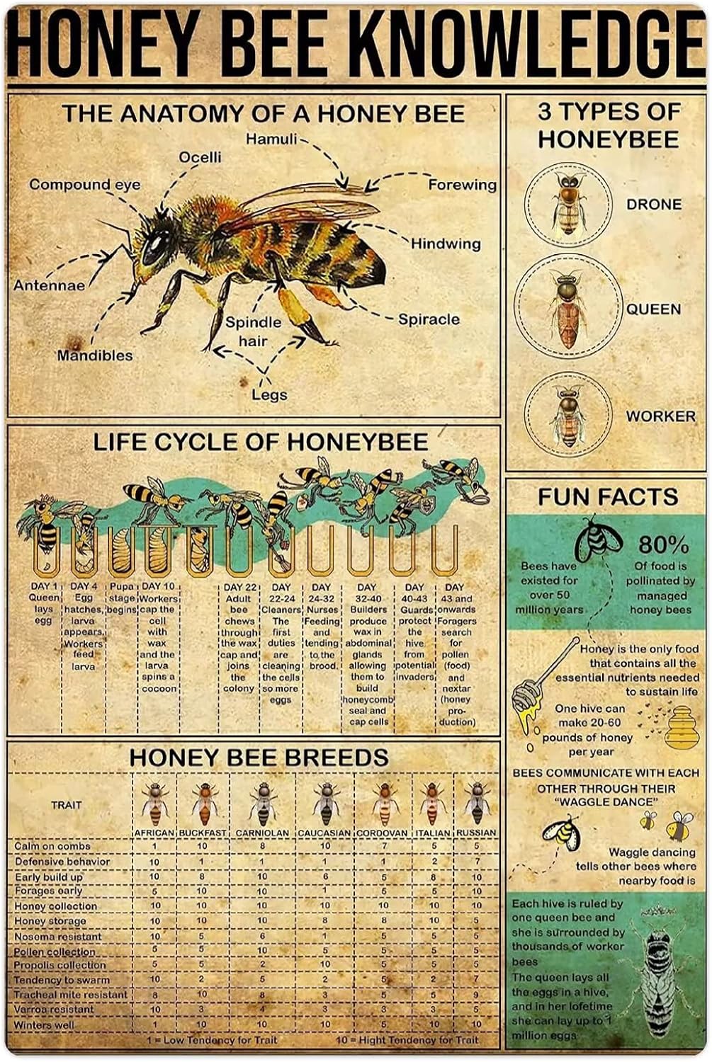 Retro Tin Sign Bee Honey Bee Knowledge Beekeeper Guide Patio Poster ...