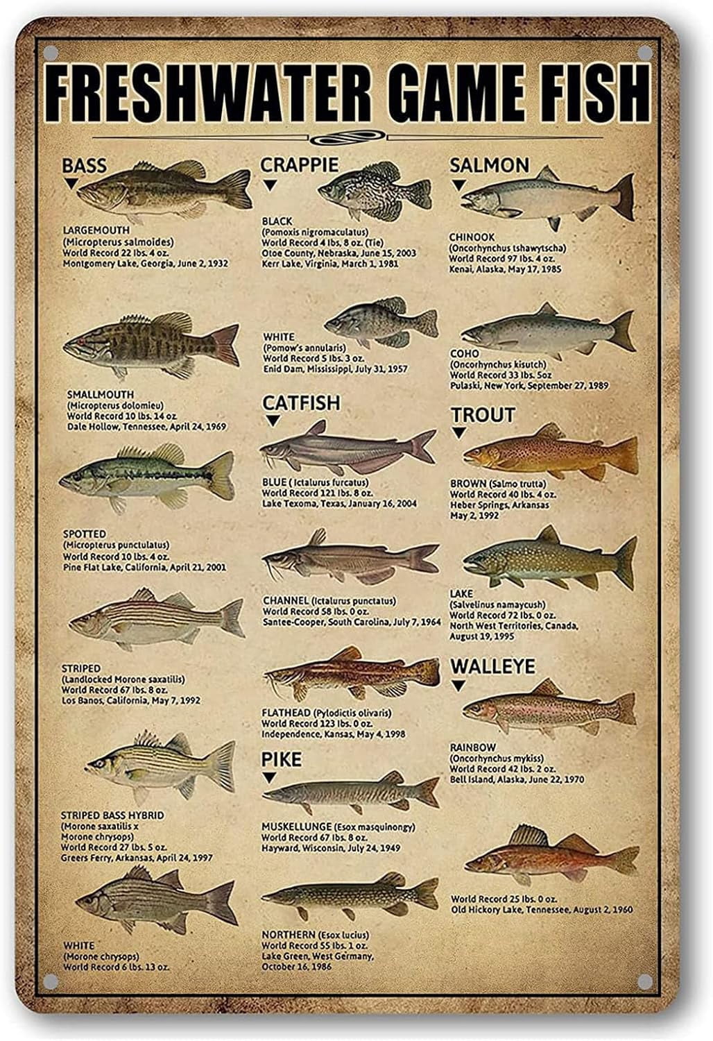 Retro Tin Sign Fishing Cabin Hunting Fishing Lake House Fish Freshwater ...