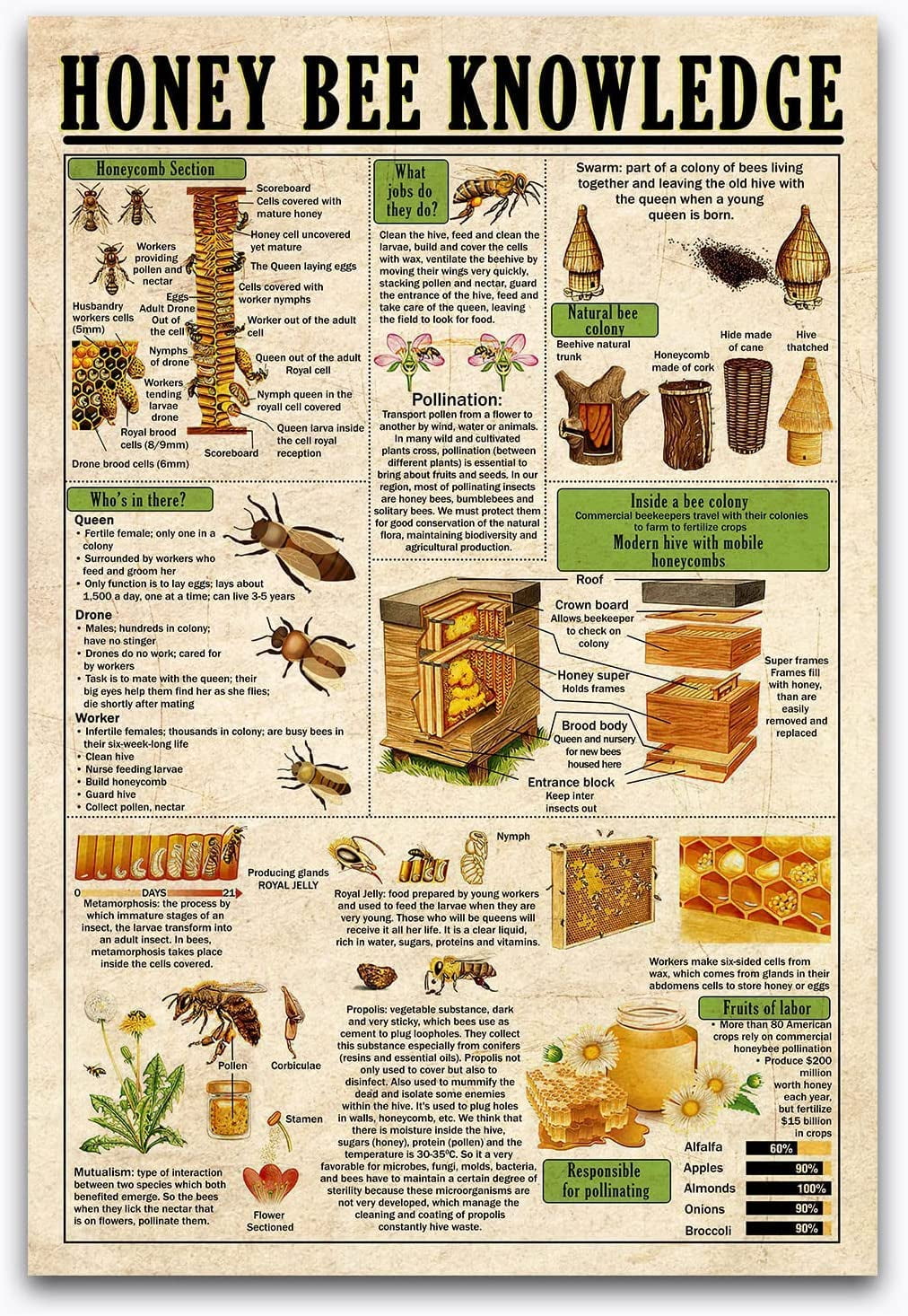 Retro Tin Sign Honey Bee Knowledge Beekeeper Guide Farm Poster ...