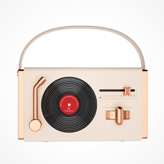 Retro Vinyl Style Bluetooth Speaker, 5 Playback Modes, FM Radio, Portable Handle for Home/Outdoor