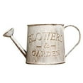 thumbnail image 1 of Retro Water Bucket Sprinkler Pot Iron Flower Pots Metal Vase Home Garden Decor, 1 of 10