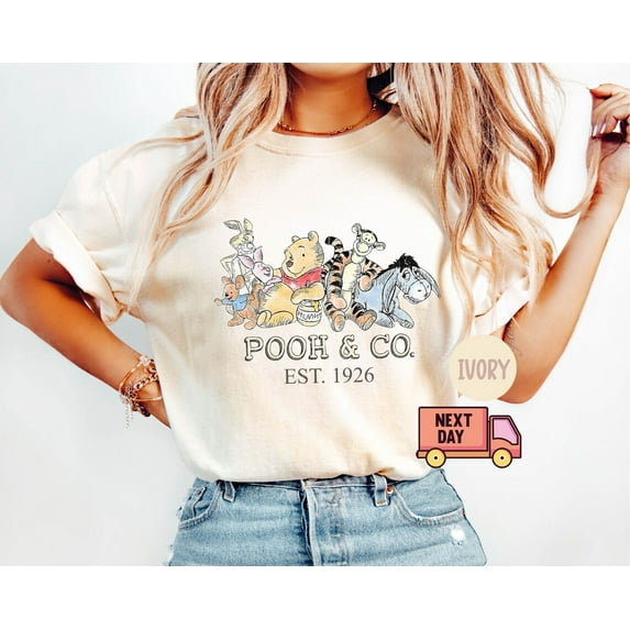 Retro Winnie The Pooh Shirt, Vintage Winnie Pooh And Friends Shirt, Classic Pooh Shirt, Disney Winnie The Pooh Shirt, Birthday Gift