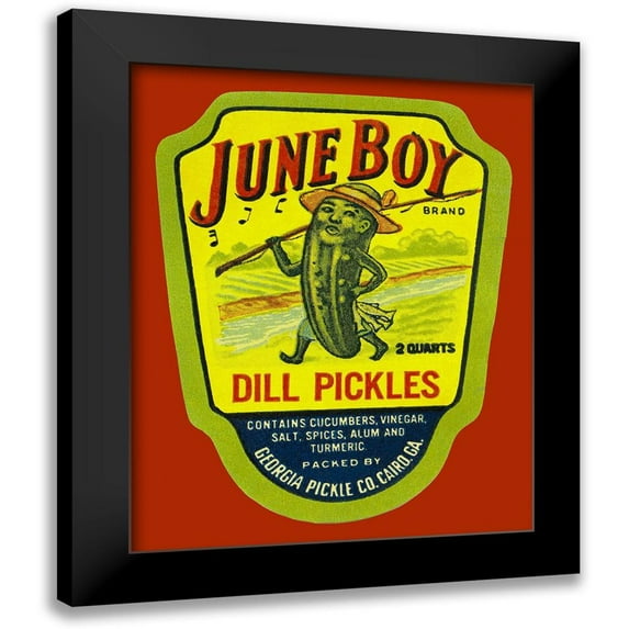Retrolabel 12x14 Black Modern Wood Framed Wall Art Titled - June Boy Dill Pickles