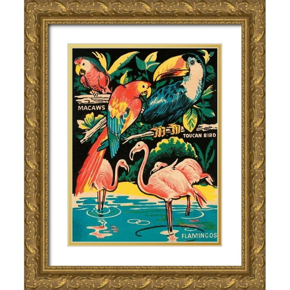 Retrotravel 12x14 Gold Ornate Wood Framed with Double Matting Museum Art Print Titled - Tropical Hobbyland - Birds