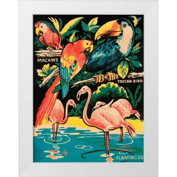 Retrotravel 12x14 White Modern Wood Framed Museum Art Print Titled - Tropical Hobbyland - Birds