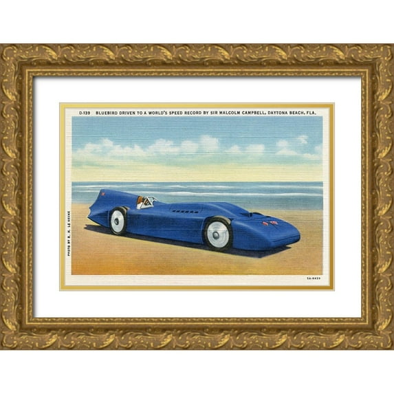 Retrotravel 32x23 Gold Ornate Wood Framed with Double Matting Museum Art Print Titled - BlueBird 5