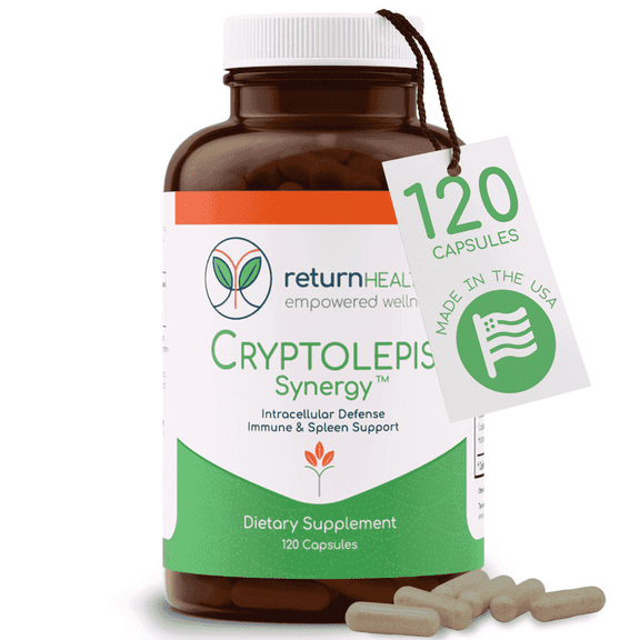 Return Healthy Cryptolepis Sanguinolenta, Immune Support, Antioxidant Supplement 120 Caps