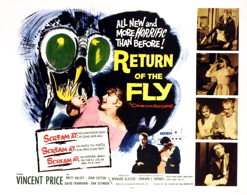 Return Of The Fly Canvas Art - (28 x 22)