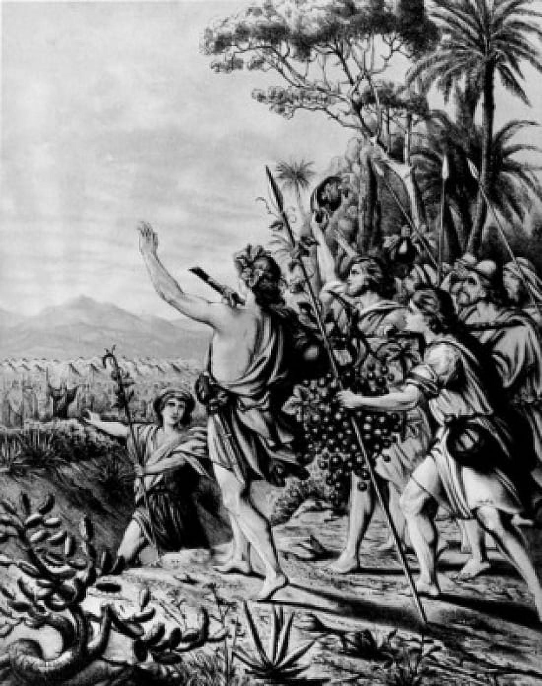 The Return of the Spies by Wilhelm Ebbinghaus from the 1908 Bible and Its Story Taught by One Thousand Picture Lessons 19th century Canvas Art - (18 x 24)